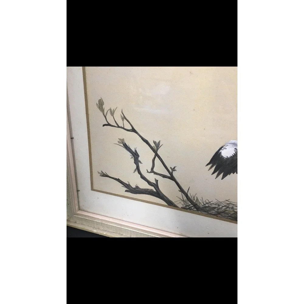 N/A frame needs